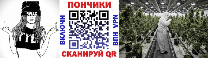 Конопля гибрид  Высоковск 